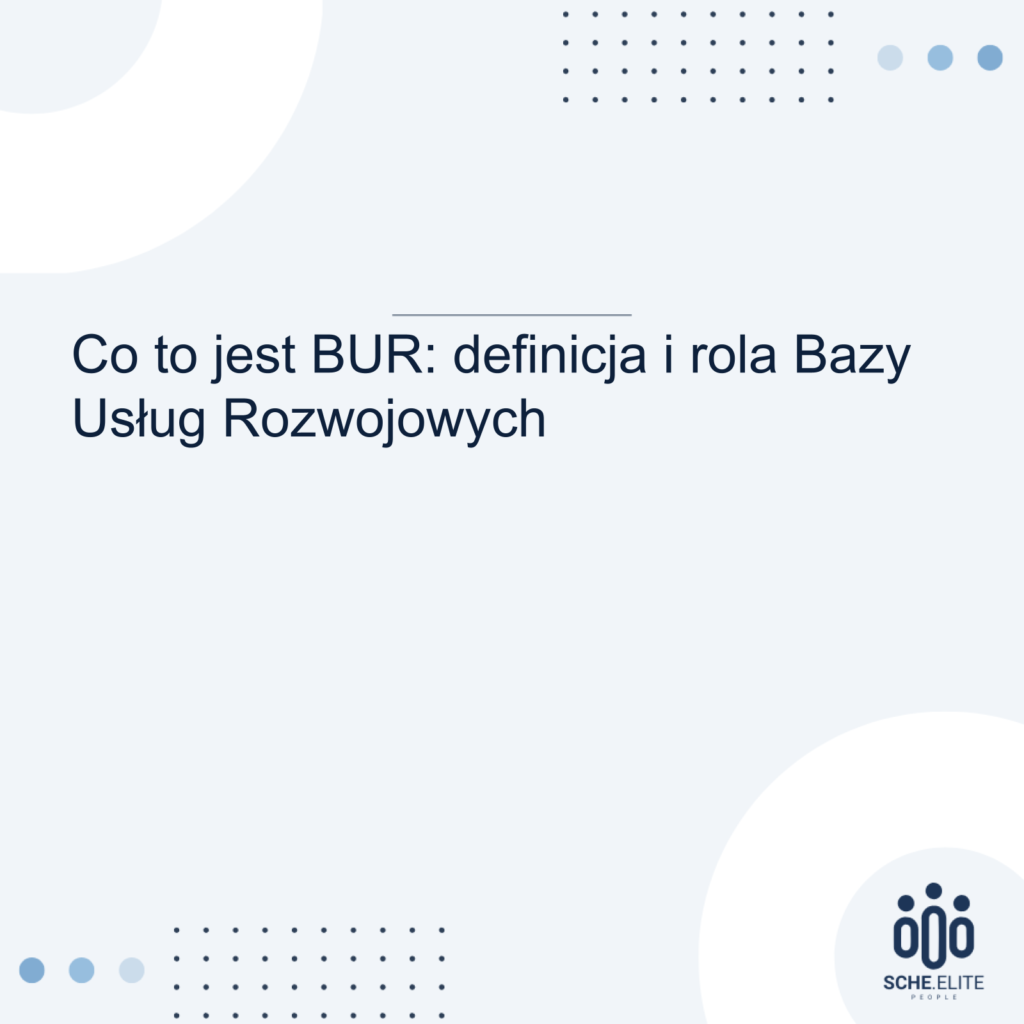 definicja bur