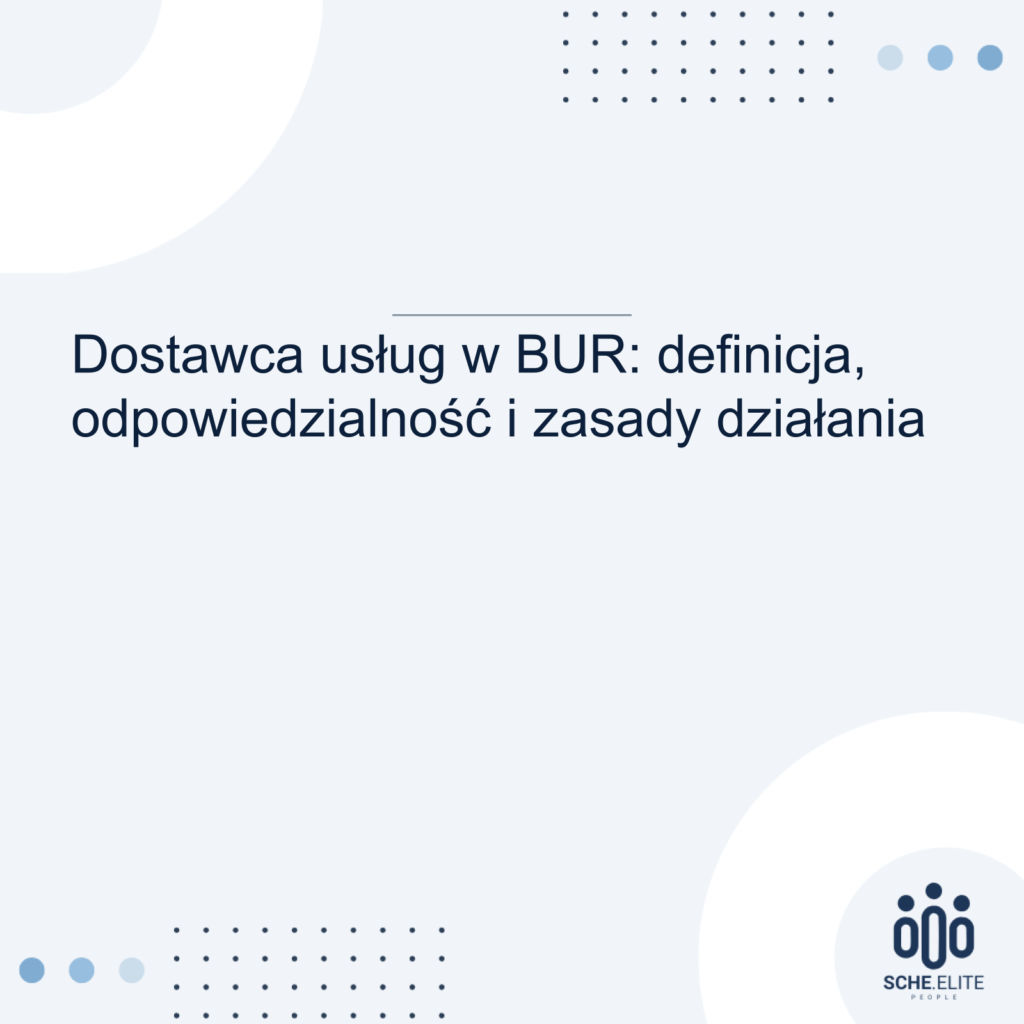 dostawca usług bur definicja